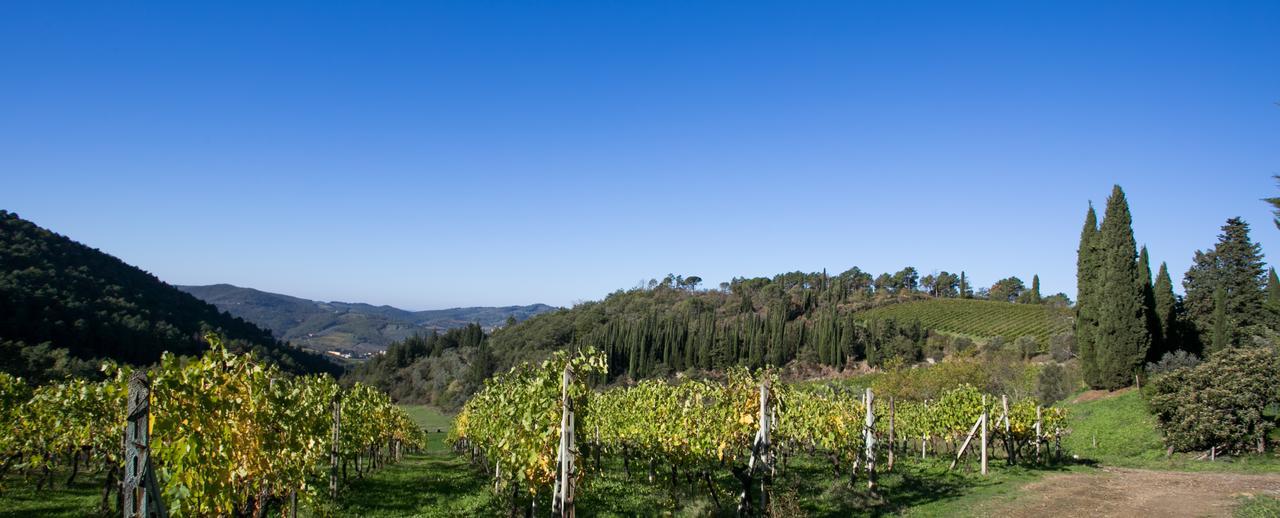 Apartamento Casa Marina Greve in Chianti Exterior foto